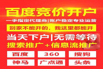 SEM服务公司助力电商增长案例